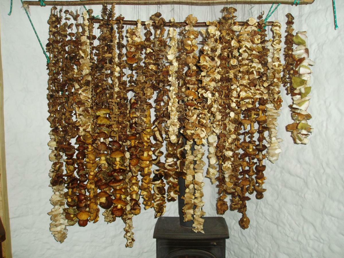 Mazurska Zyzdrojowy Piecek